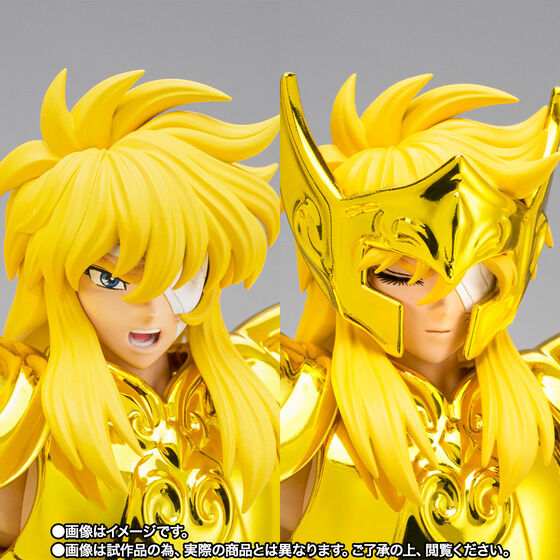 Aquarius Hyoga - Saint Seiya