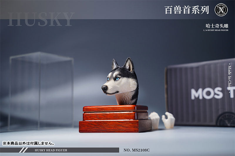 1/6 Head Husky C