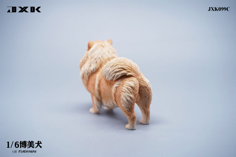 1/6 Pomeranian C