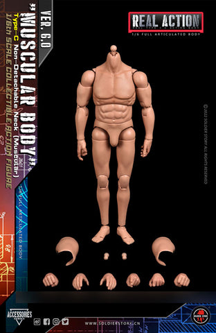 1/6 Standard Body Type C Combined Neck Muscular