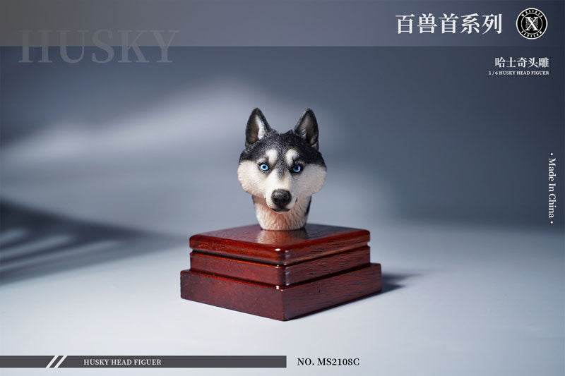 1/6 Head Husky C