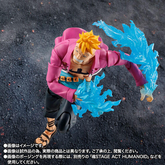 Marco - One Piece