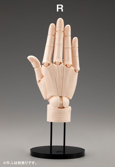 Artist Support Item - Hand Model - 1/1 - R Pale Orange (Kotobukiya)