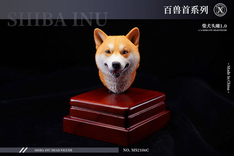 1/6 Head Shiba Inu C