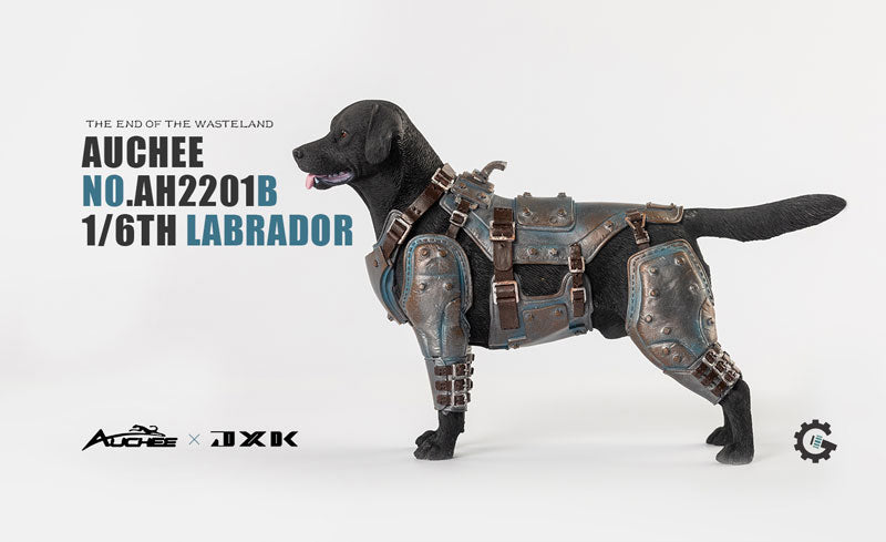 Auchee x JXK Studio 1/6 Labrador B