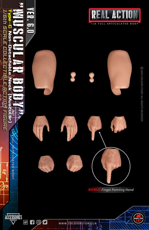 1/6 Standard Body Type C Combined Neck Muscular