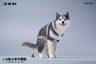 1/6 Siberian Husky Half Squat A