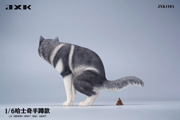 1/6 Siberian Husky Half Squat A