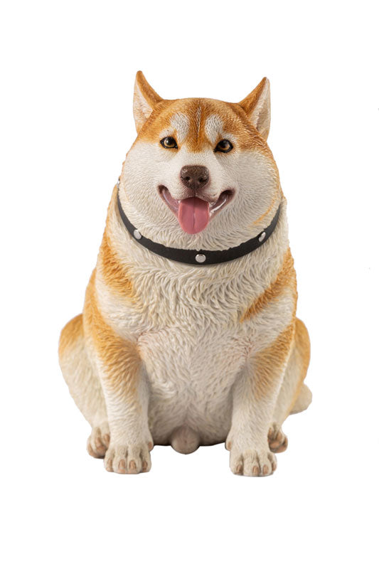 1/6 Chubby Husky C