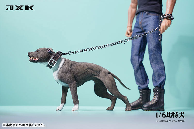 1/6 American Pit Bull Terrier D