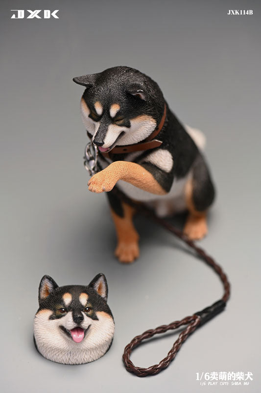 1/6 Frolicking Shiba B