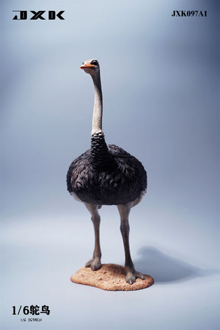 1/6 Ostrich A1