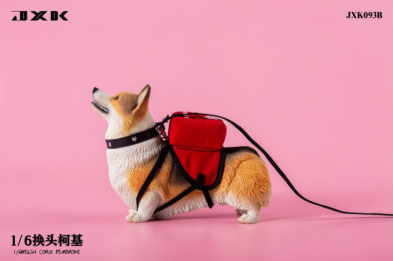 1/6 Welsh Corgi Pembroke B