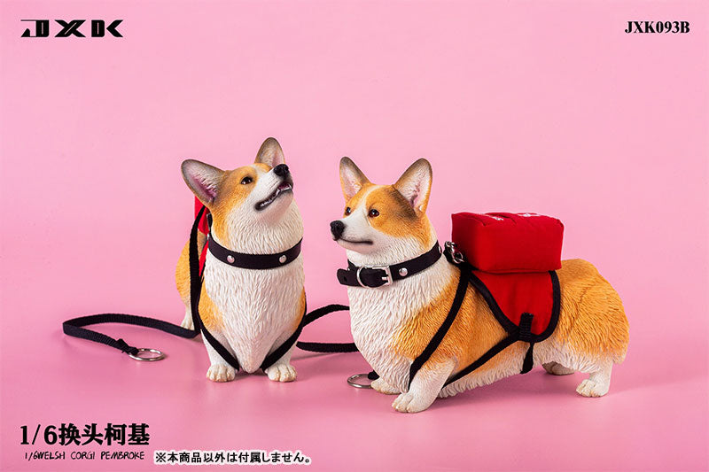 1/6 Welsh Corgi Pembroke B