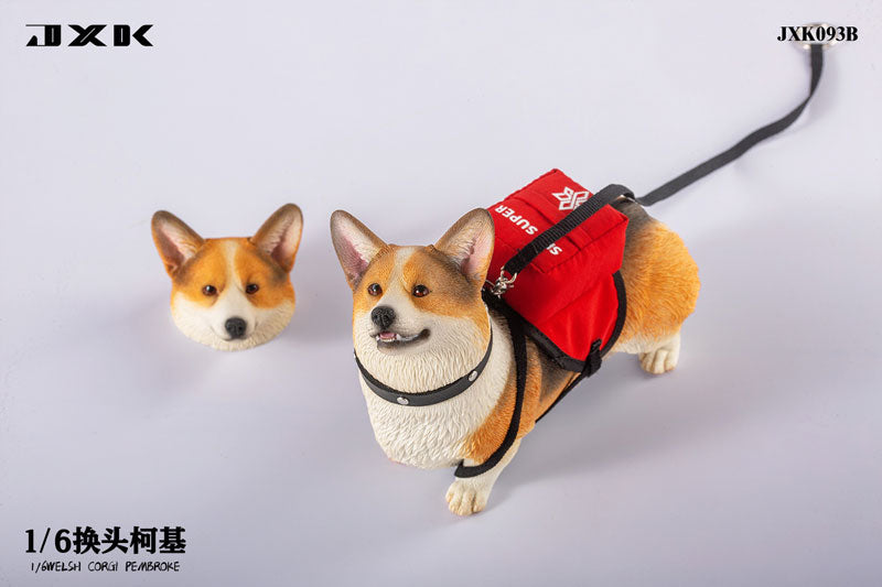 1/6 Welsh Corgi Pembroke B