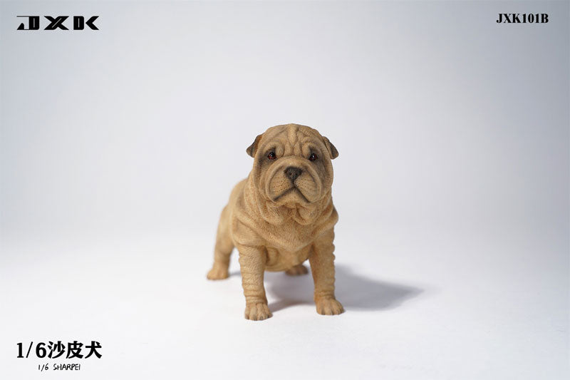 1/6 Shar Pei B