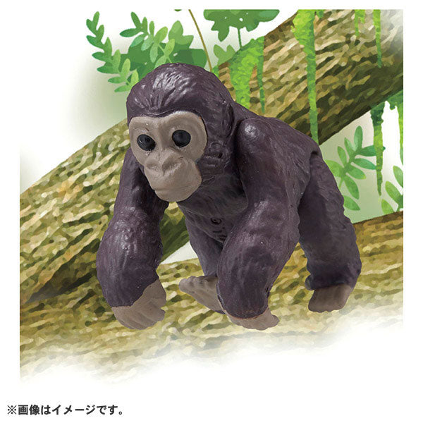 Ania AC-03 Gorilla (Child)