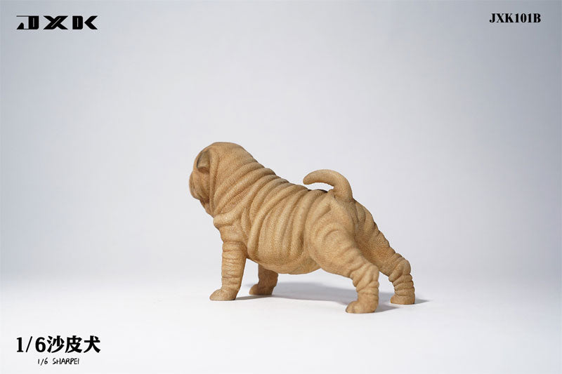 1/6 Shar Pei B