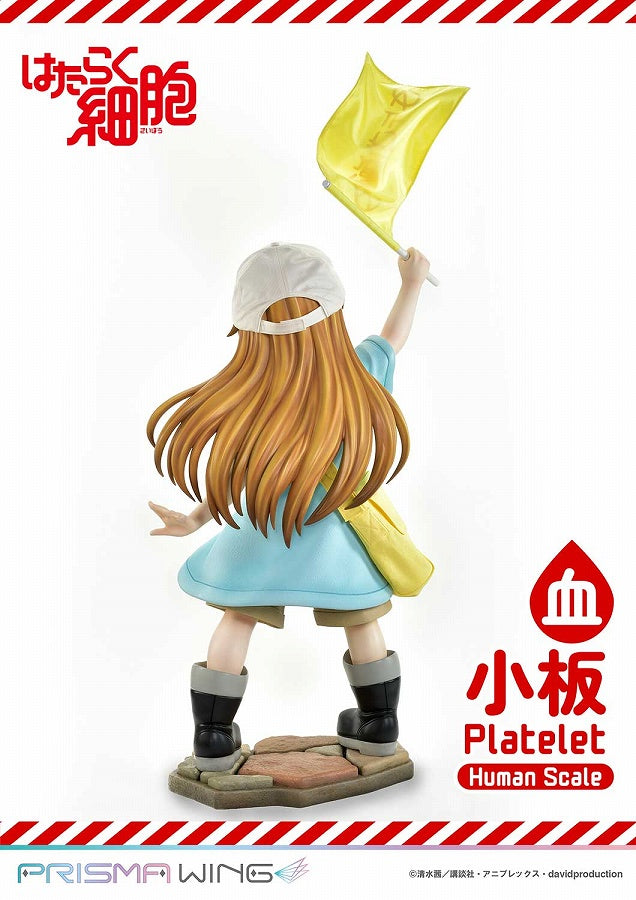 Platelet - Hataraku Saibou