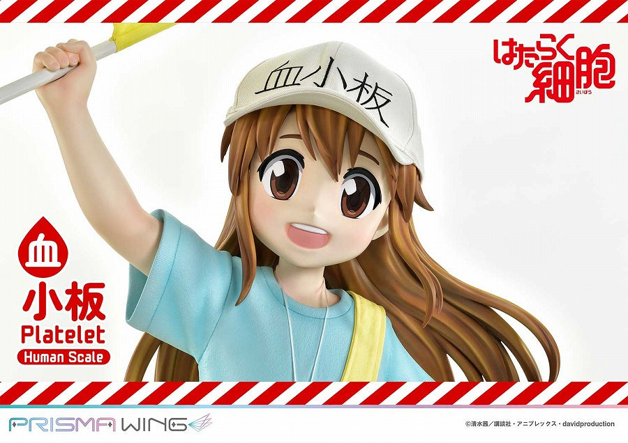 Platelet - Hataraku Saibou