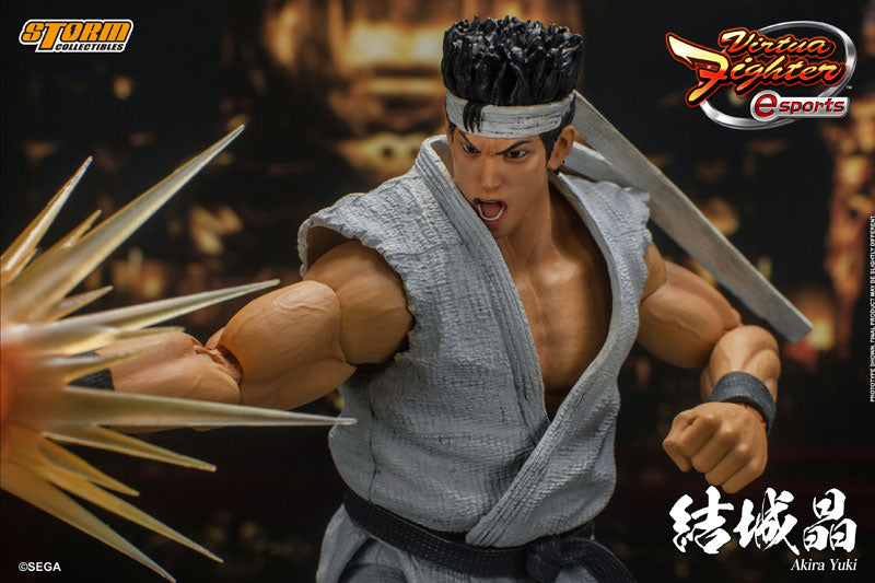 Virtua Fighter eSports Action Figure Akira Yuki