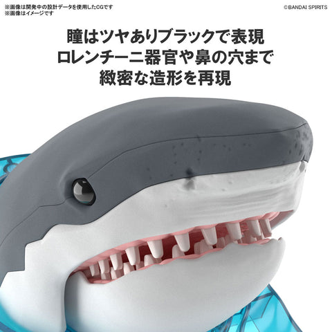 Exploring Lab Nature Great White Shark Plastic Model