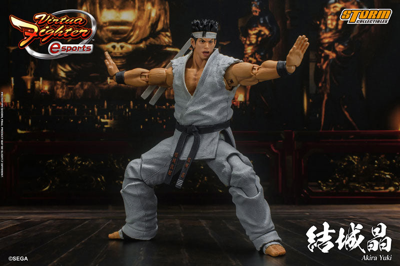 Virtua Fighter eSports Action Figure Akira Yuki