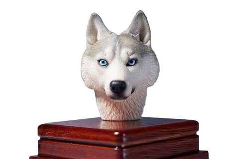 1/6 Head Husky B