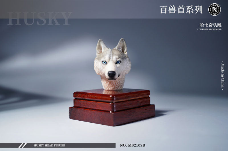 1/6 Head Husky B