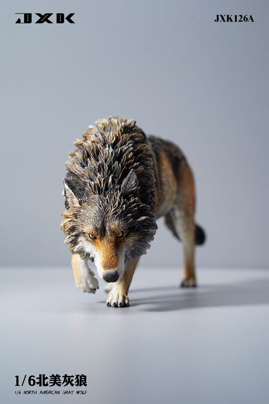 1/6 Gray Wolf A