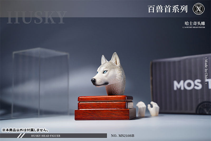 1/6 Head Husky B