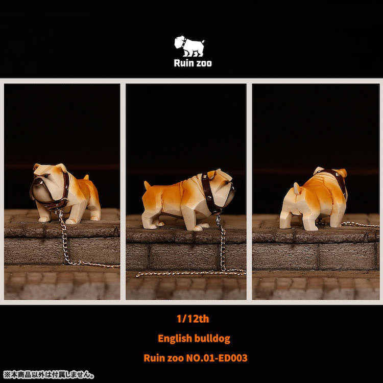 1/12 English Bulldog 003