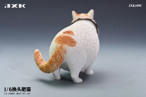 1/6 Fat Cat Exchangeable Face C