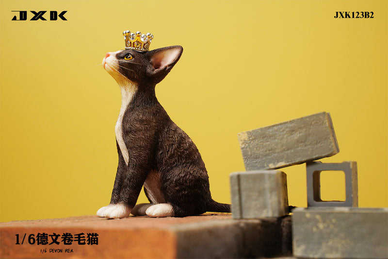 1/6 Devon Rex B2