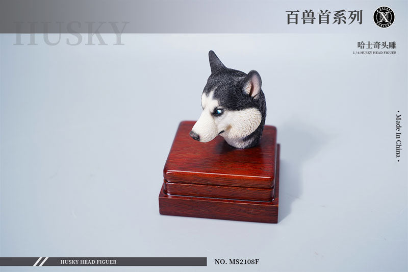 1/6 Head Husky F