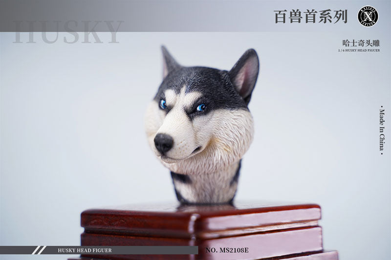 1/6 Head Husky E