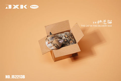 Small Cat in the Cardboard Box B