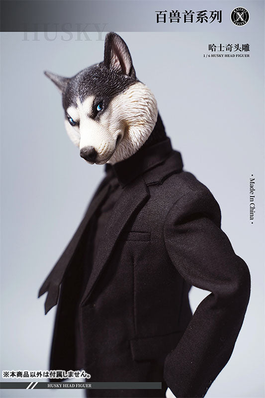 1/6 Head Husky E