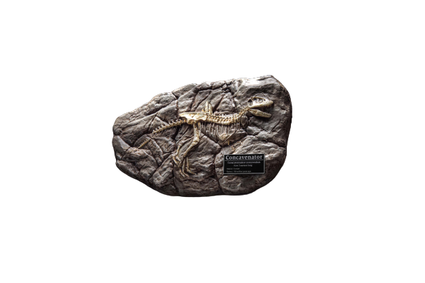 Wonders of the Wild Series - Concavenator - Fossil Replica (Star Ace Toys)