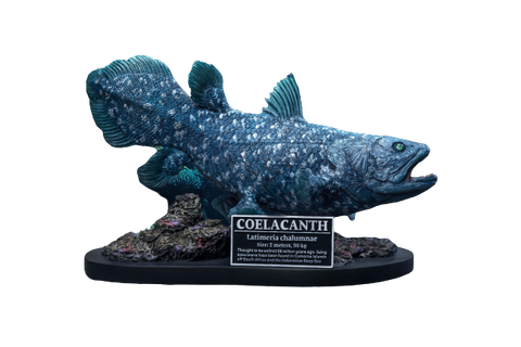 Wonders Of The Wild - Coelacanth - Polyresin Statue (Star Ace Toys)