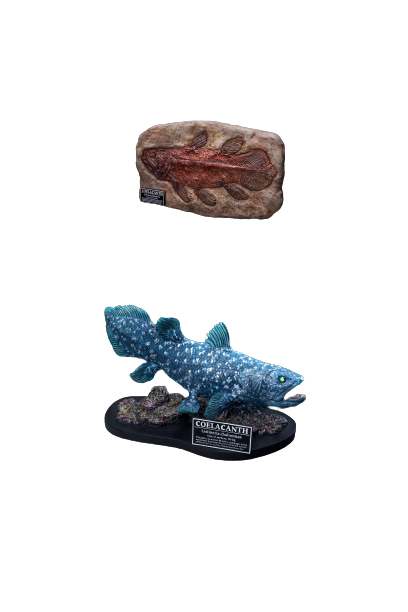 Wonders Of The Wild - Coelacanth - Polyresin Statue - DX Edition (Star Ace Toys)