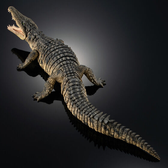 Ikimono Encyclopedia Ultimate - Nile Crocodile (Bandai Spirits