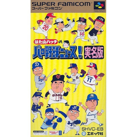 Hatayama Hachi no Pro Yakyuu News Jitsmeiban