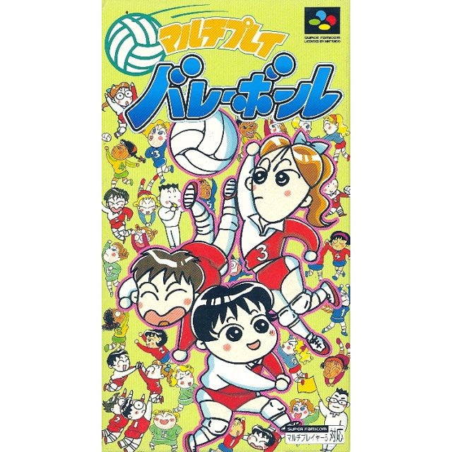 Multi Play Volleyball