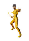 Game of Death - Bruce Lee - S.H.Figuarts - Yellow Track Suit (Bandai)