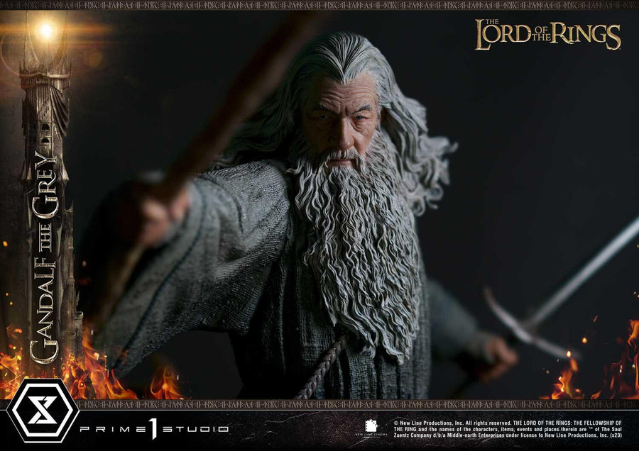 Gandalf - The Lord of the Rings: The Fellowship of the Ring