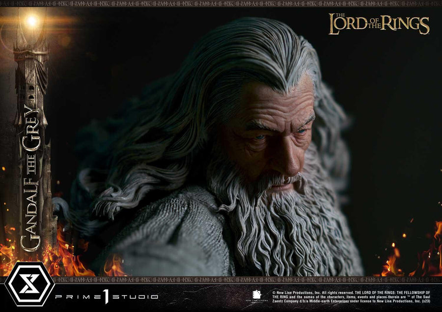 Gandalf - The Lord of the Rings: The Fellowship of the Ring