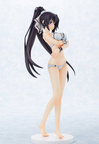 Shinonono Houki - IS: Infinite Stratos 2