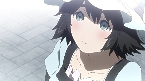 STEINS;GATE ELITE