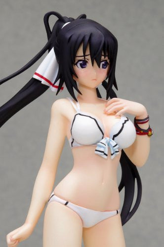 Shinonono Houki - IS: Infinite Stratos